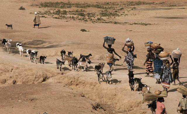 马里|中国大使馆发出紧急通知！总统与总理均已被扣押