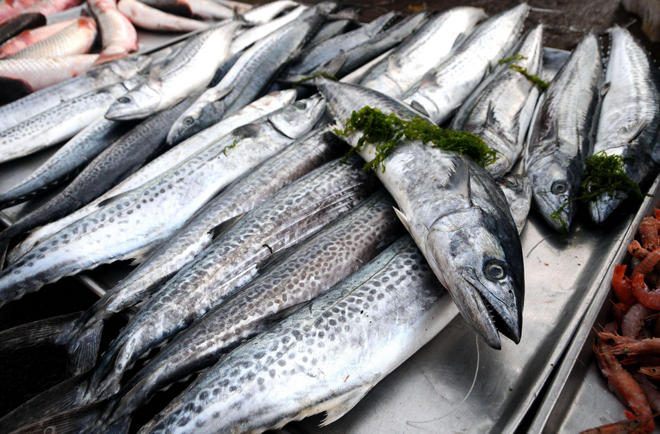 『秋刀鱼』?会吃鱼的人,专买这5种鱼!营养高还不贵,关键都是野生的,好吃