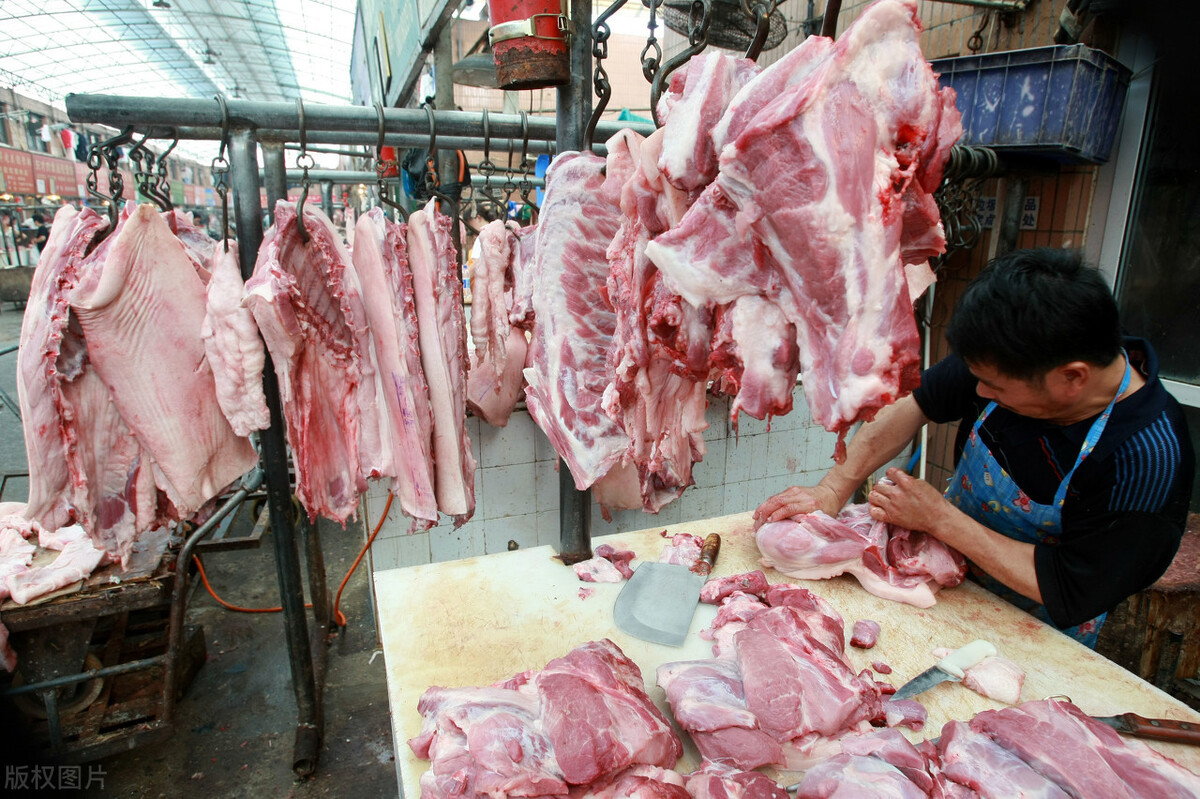 生猪价格|9月12日猪价：跌势再扩大，全国一片绿，生猪市场要“变天”？