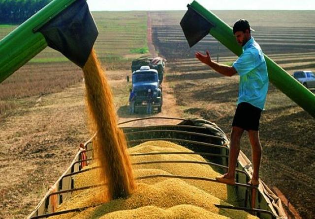 「大米」最新：中国释放重要信息后，越、柬、俄、乌、哈纷纷采取新行动