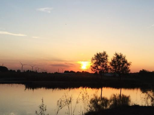 双龙|中国股坛第一人坦言：做一个安静的投资者，此文无价，很短很深