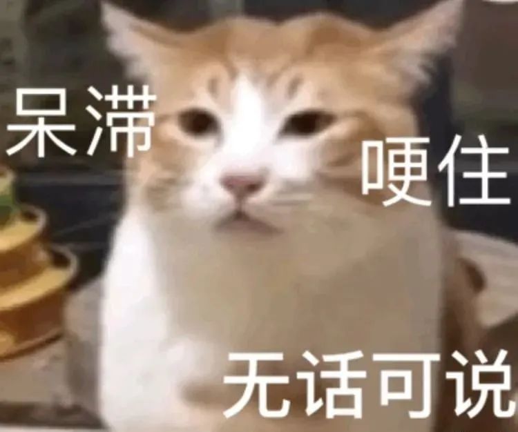 万茜|被全网打假，她真的不尴尬吗？