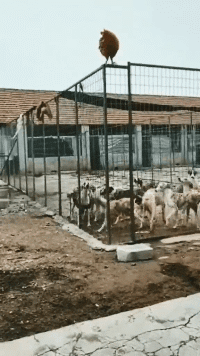 扎心|“男人最无能的表现是什么?”哈哈哈扎心了