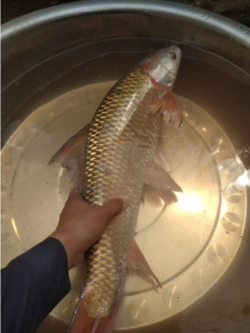 |“老婆出差,儿子特别喜欢他小姨带...”笑得很开心嘛!哇哈哈哈~