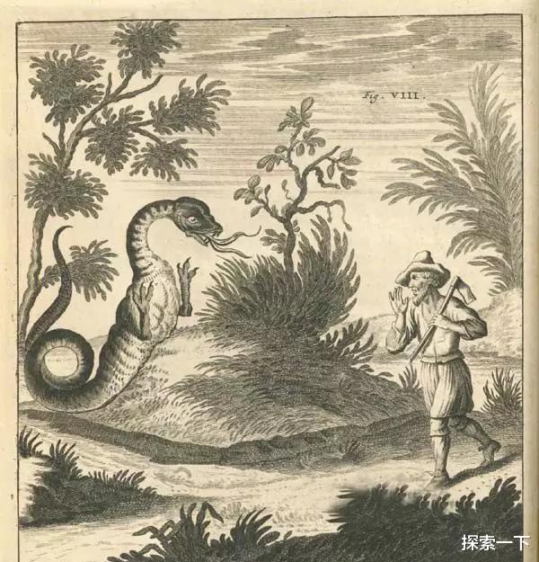 『干旱』存在于阿尔卑斯山的神秘生物, 是传说还是未被发现