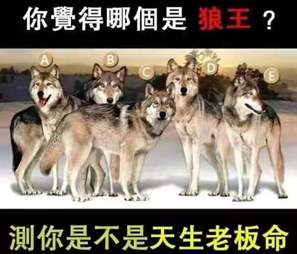 王多鱼|“如果给你十个亿，让你用王多鱼的游戏规则来花掉，你会怎么花？”