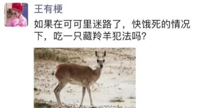 时尚炫点 “为什么蜜蜂的针会连着内脏，这样构造的意义是什么？”