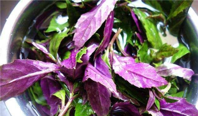 排毒|身体好的人都会吃,常吃3物,促进排毒,润肤美容,延缓衰老