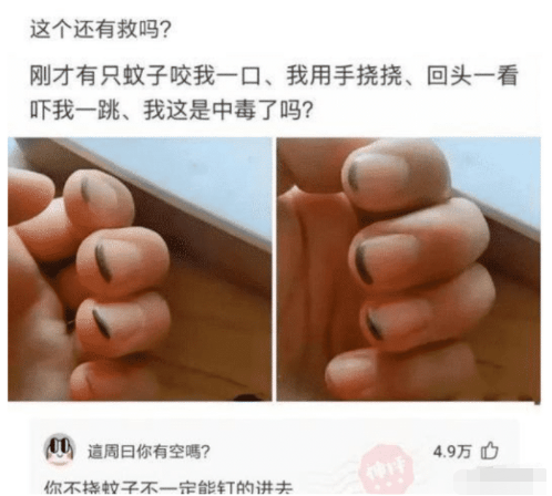 蚊子|“有个好色女友是一种什么体验？”哈哈哈哈哈，这谁能招架住啊？