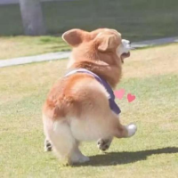 晚风可杰