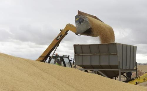 [华为]特朗普再放狠招要置华为死地！不慌，中国握有终极反制杀招  ?