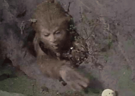  “逗了一会狗身上就出现黑点，这是啥玩意？”心态要崩了...