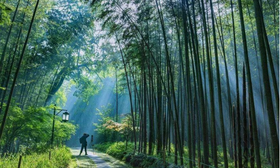 天池|富阳区的满园春色带着闲庭野鹤的优雅，感受独有的自然浪漫