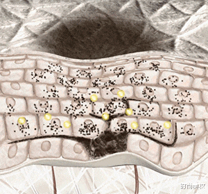 张天爱|52岁翁虹\牛奶肌\太养眼！与景甜合照宛如姐妹，网友：是个小姐姐