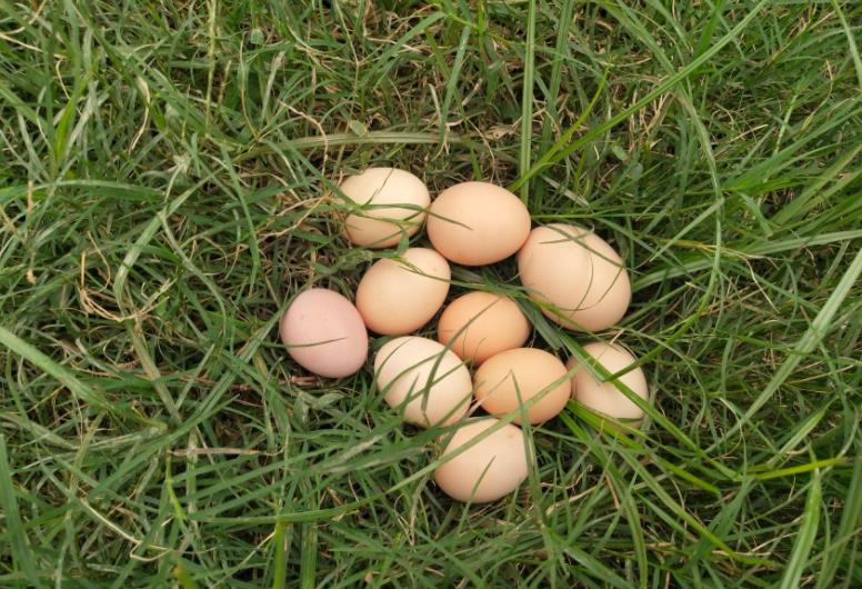 睡眠|人民日报发声：这些食物被吹上天，却没什么用，尽量别花冤枉钱