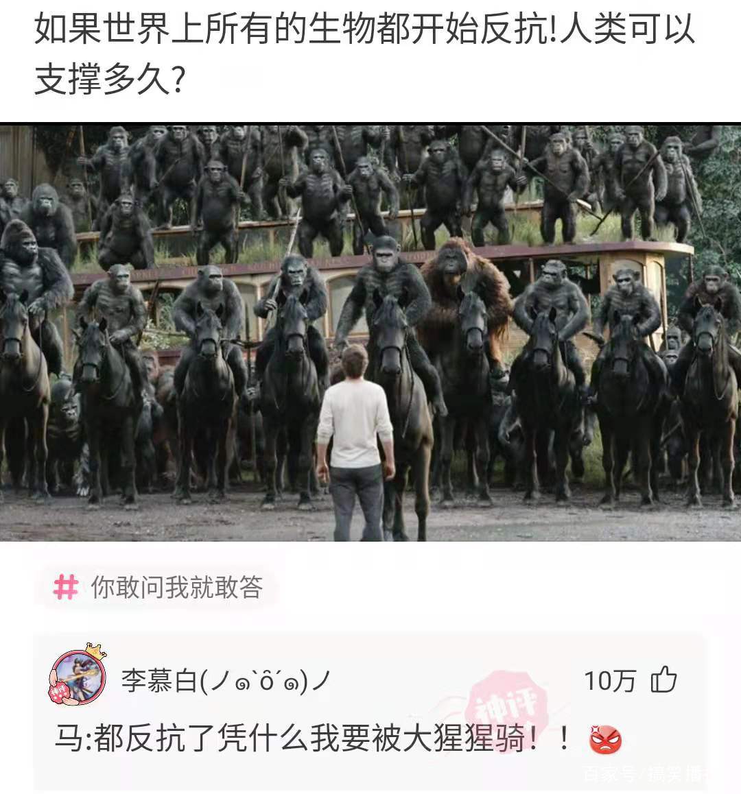 神回复 神回复：如果世界上所有的生物都开始反抗人类！人类可以支撑多久？