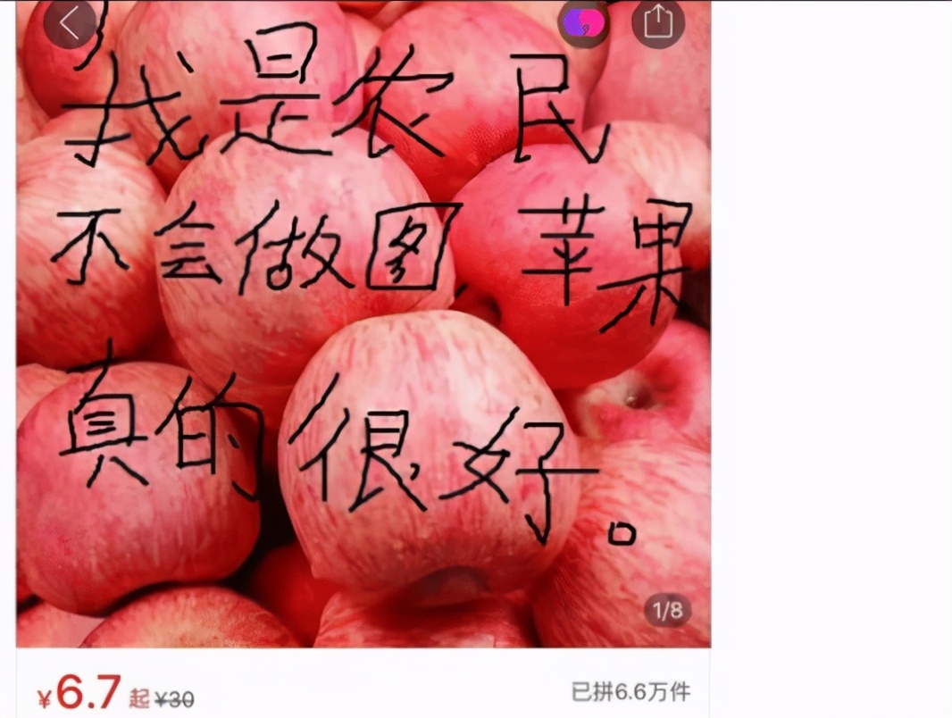 恐龙 已经能预见大家看到恐龙时的表情了，跟天塌下来一样呢