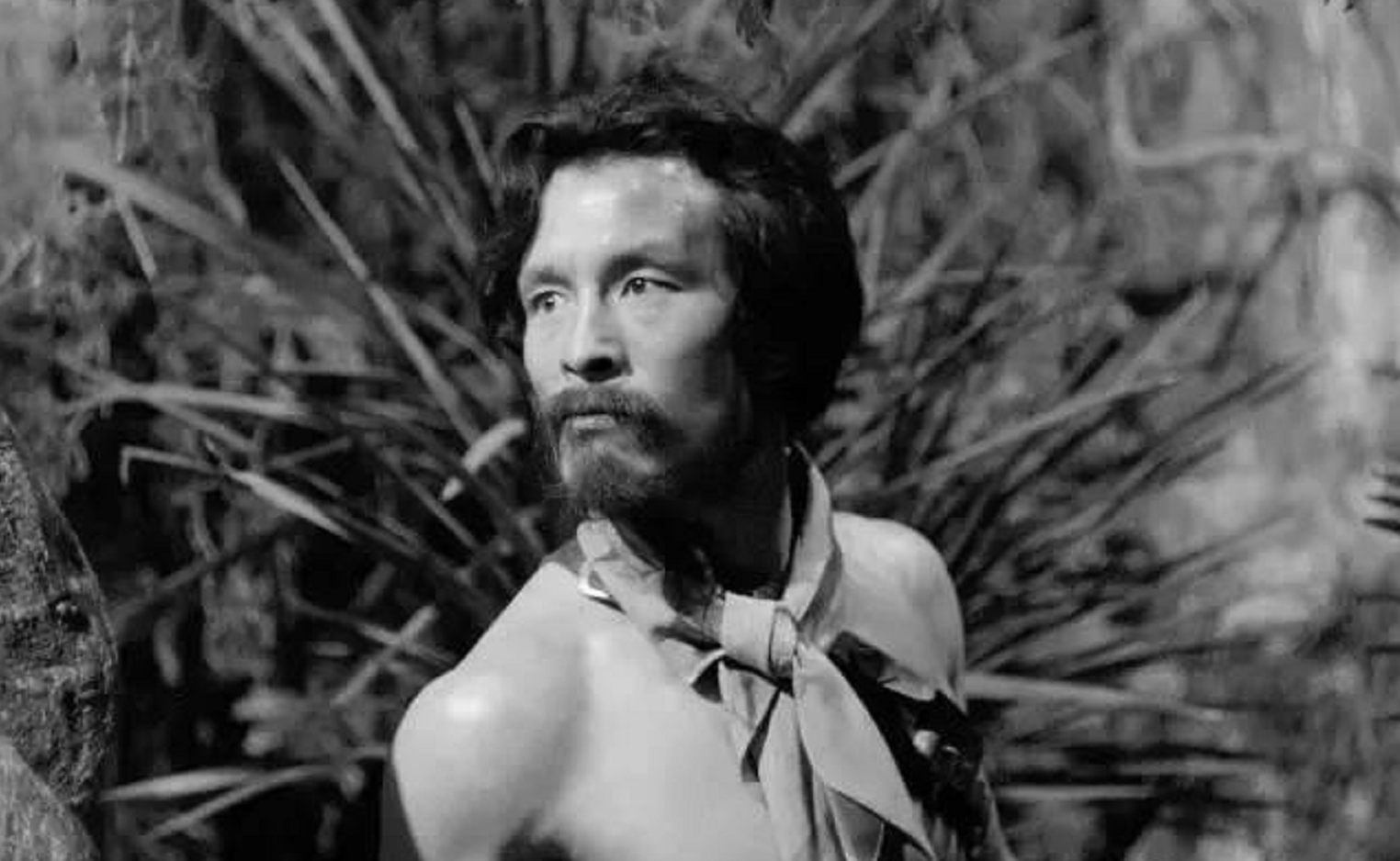 唐雪 日本女子被困孤岛，和32名男子生活6年，真实恐怖的安纳塔汉事件