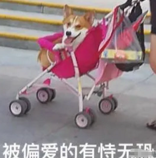 |“我需要把这套户型卖出去，该怎么介绍？”