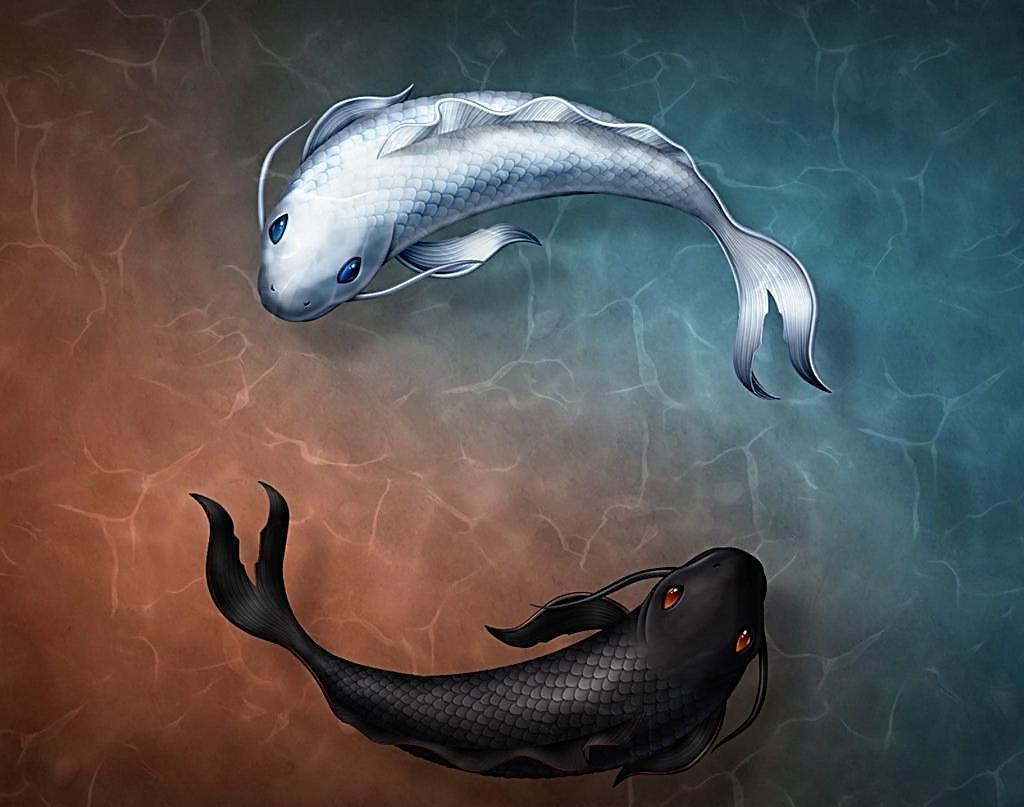 男性荷尔蒙|男性阳气不足时,多吃这5种食物,可以刺激荷尔蒙分泌,补充阳气?