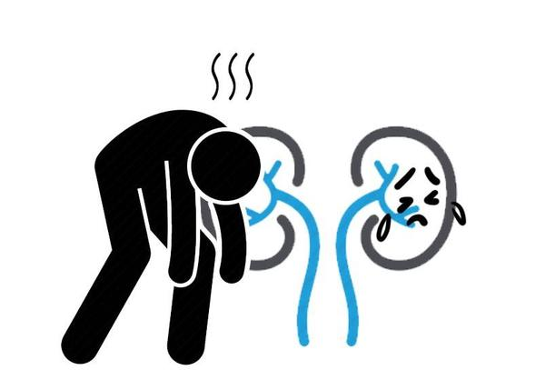 脱发|男人早上起床后，若没有4种情况，说明“肾气十足”，真让人羡慕