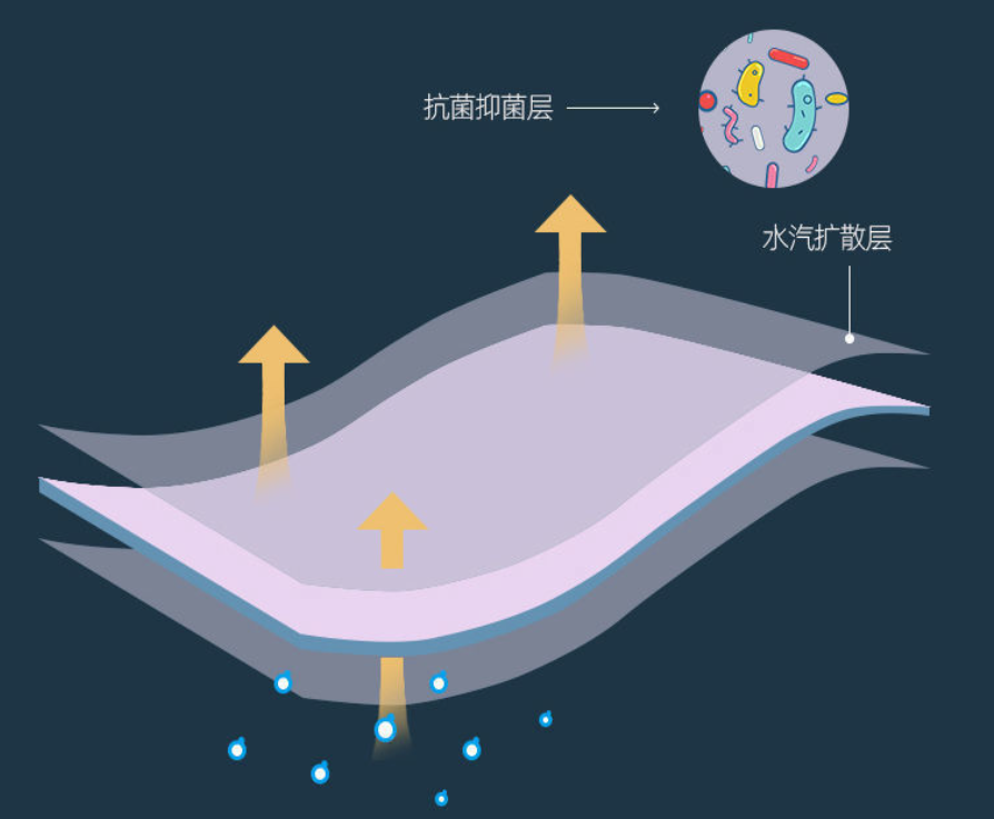 邪教 雅鹿强力“碾压”行业暴利!蚕绒被杀人诛心只卖69元,博洋罗莱:扰乱市场?