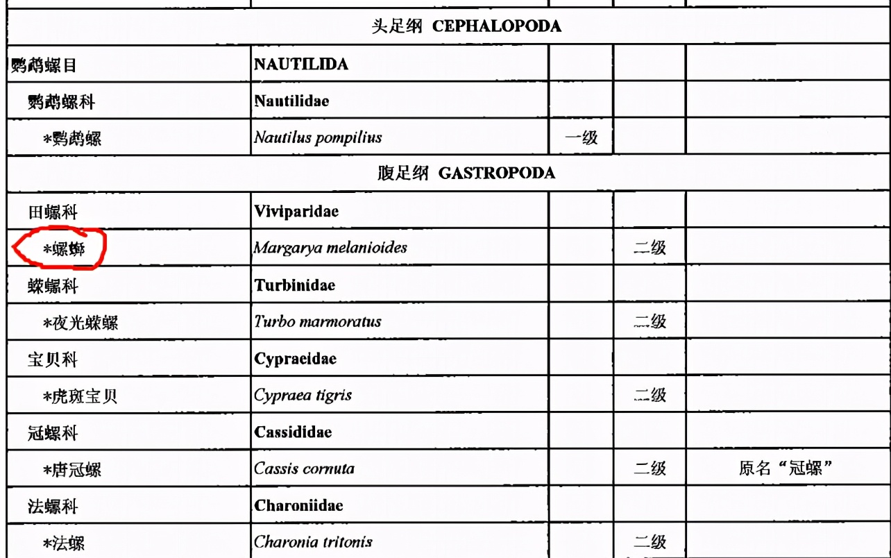 |螺蛳已被列为国家二级保护动物，我们还能用螺蛳钓鱼么