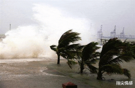 时尚好物官 薇娅\＂懒人伞\＂一夜爆红，40度出门不怕晒，网友：防晒霜可以扔了