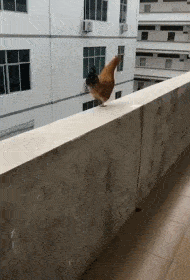 |现在95后员工真难带，就因为职业装不合适，就气势汹汹找到我办公室