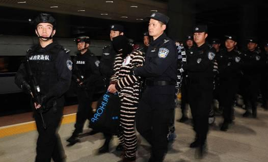 菲律宾|一名中国警察5000美元，菲律宾黑市明码标价，低于20万没资格进