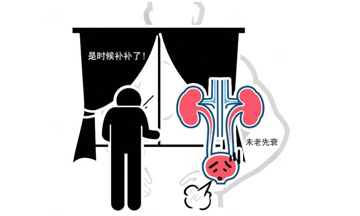 脱发|男人早上起床后，若没有4种情况，说明“肾气十足”，真让人羡慕