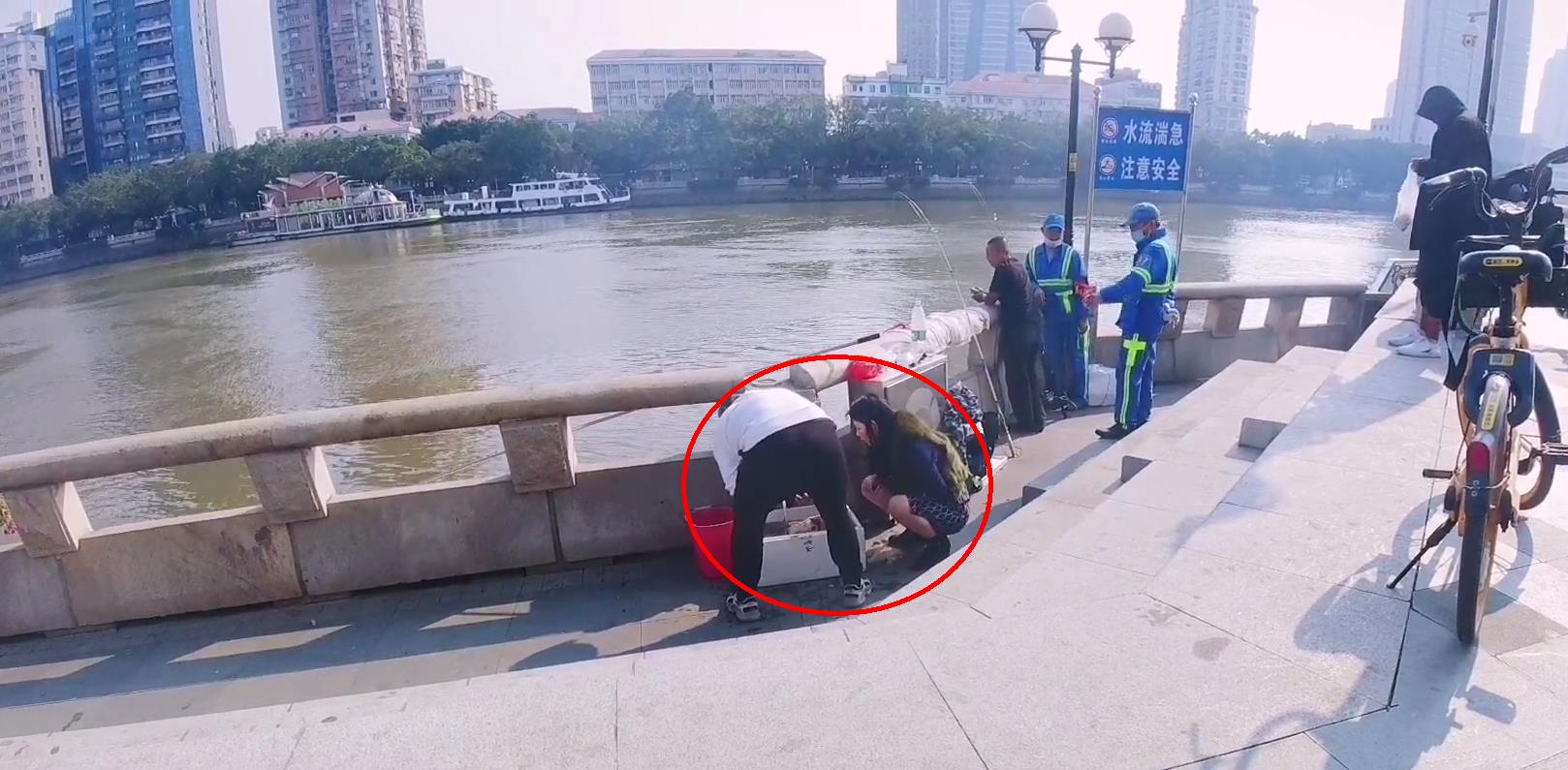 珠江|实拍广州珠江边的职业钓鱼人，一条大鱼卖50元，有人一天挣四五百