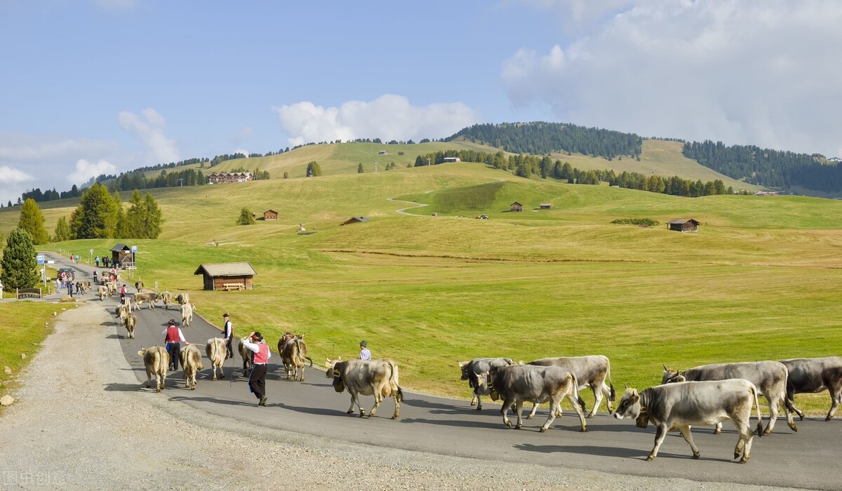 长寿秘诀|106岁老人，骨骼年龄只有60岁，长寿秘诀不是多走路，而是这3件事