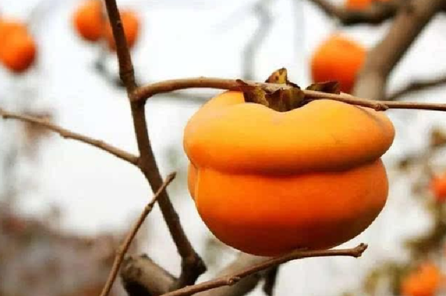 运动|子宫“不喜欢”的8种水果，女性朋友要少吃，1项运动或能保护子宫