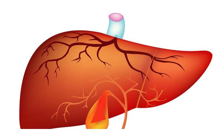 肝脏|肝脏出现纤维化时，身体会有4个信号，早发现早控制！