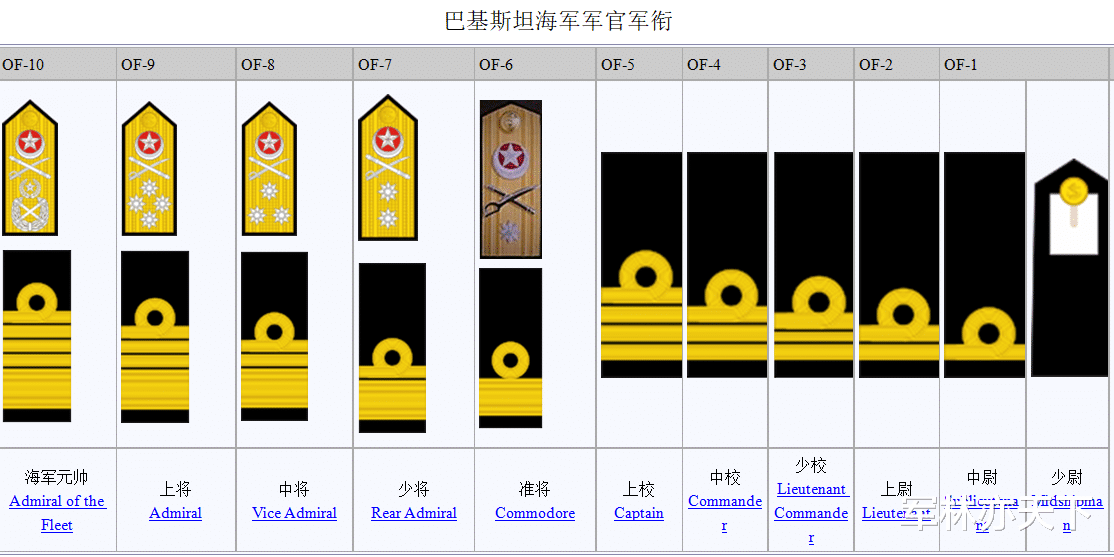 巴基斯坦|巴基斯坦军官在珠海体验中国轻武器，他们的军衔比较复杂，如何识别？