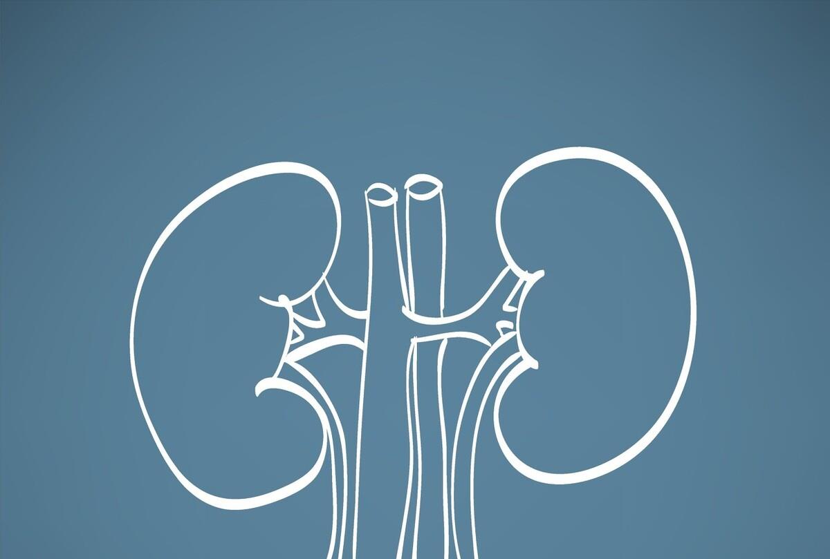 脱发|中药专家提醒:3种中药早已被拉入伤肾“黑名单”,早知道早获益