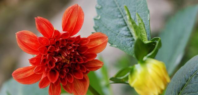 你好|《你好，李焕英》口碑炸裂！中文译名更具深意！