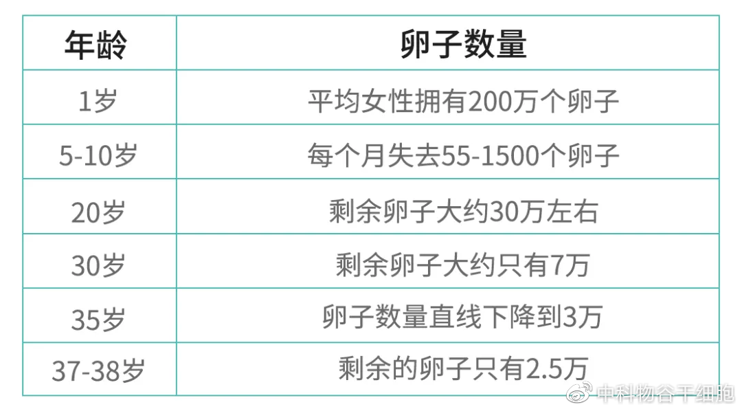 说说干细胞|干细胞能治疗不孕