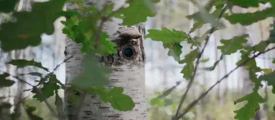 快乐大本营|富二代拍床戏【假戏真做】，这低成本爽片，简直太生猛了