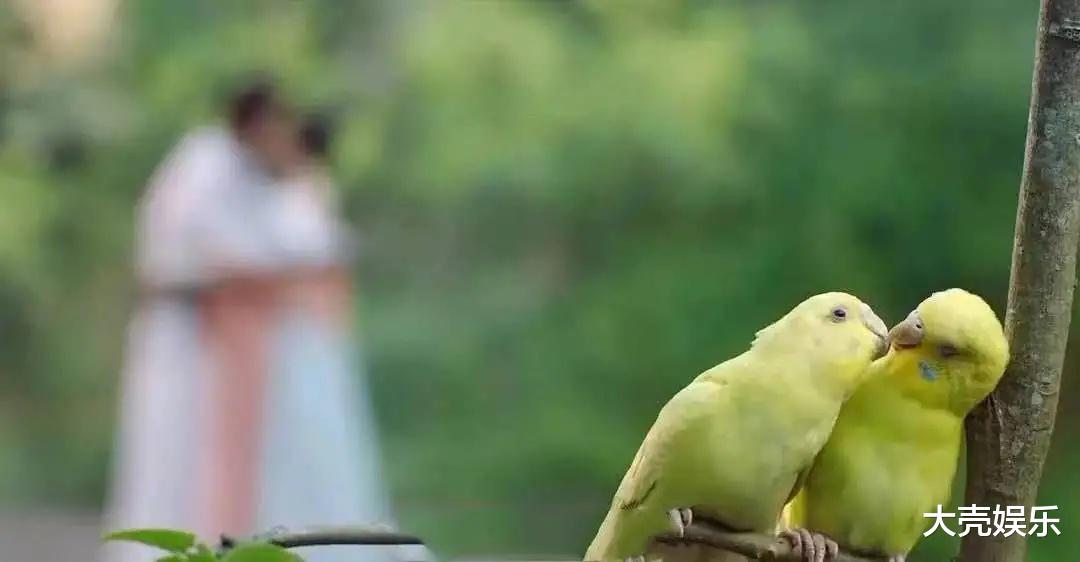 迪丽热巴|回顾：热巴吻戏也挑人？跟吴磊“借位”，跟他却连舌头都伸出来了