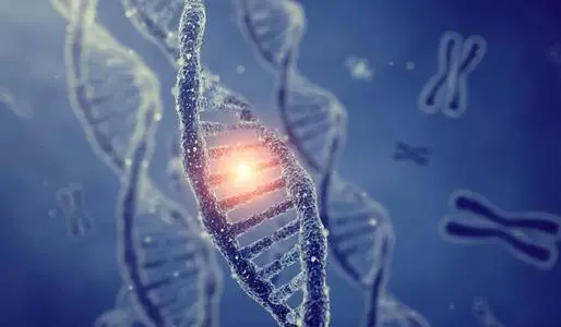 湖南医药精准医疗-【鹊公来了】本草现萃AI奶茶合伙人招募 湖南医药精准医疗-【鹊公来了】本草现萃AI奶茶合伙人招募