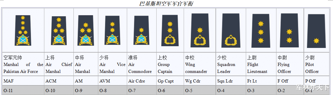 巴基斯坦|巴基斯坦军官在珠海体验中国轻武器，他们的军衔比较复杂，如何识别？