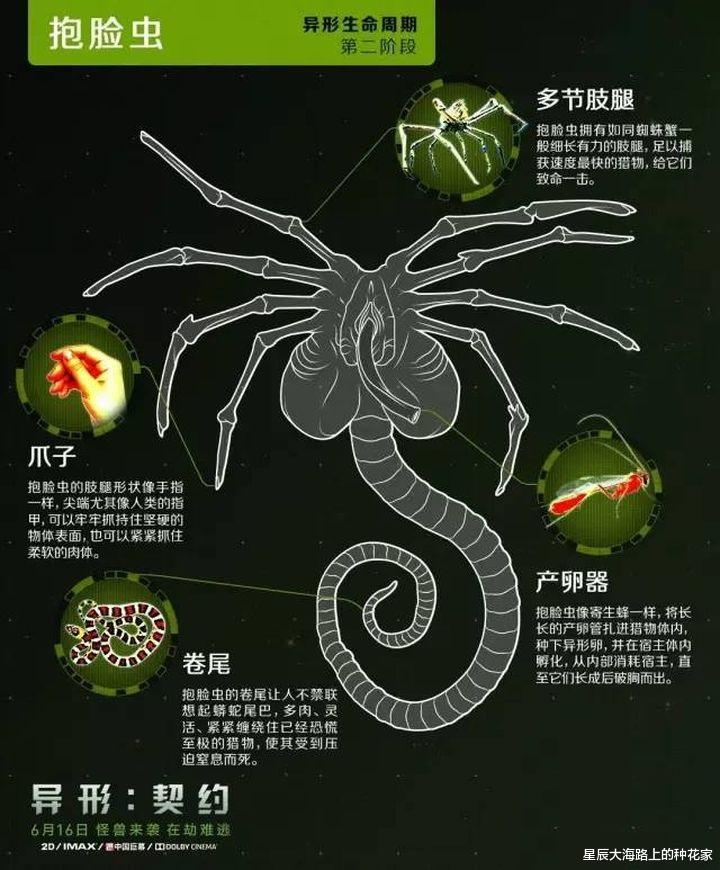 3亿年前的螺丝镶嵌在石块中,揭开了一个史前的巅峰时代!
