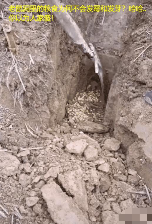 韩国 “少于20万彩礼不让女儿出嫁，导致女儿快四十还没嫁出去”