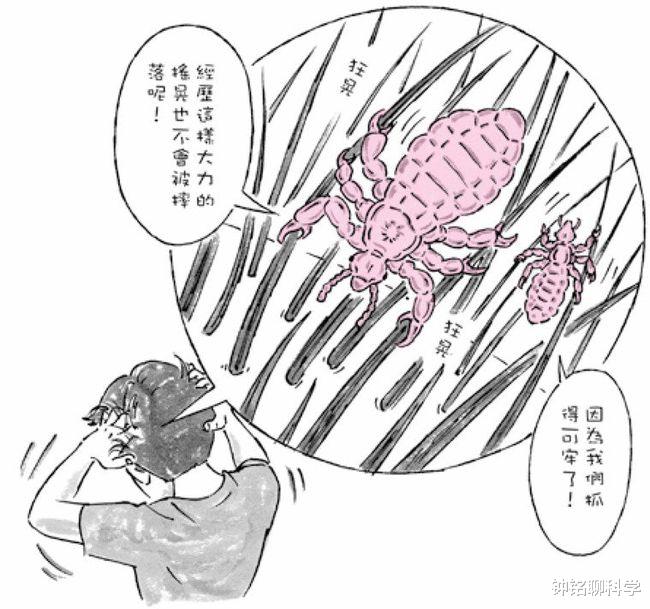 同样是虱子,为什么阴虱只能生活在阴部,无法在头发上生活?