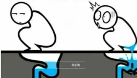 大家上卫生间时是喜欢蹲便器还是马桶呢？