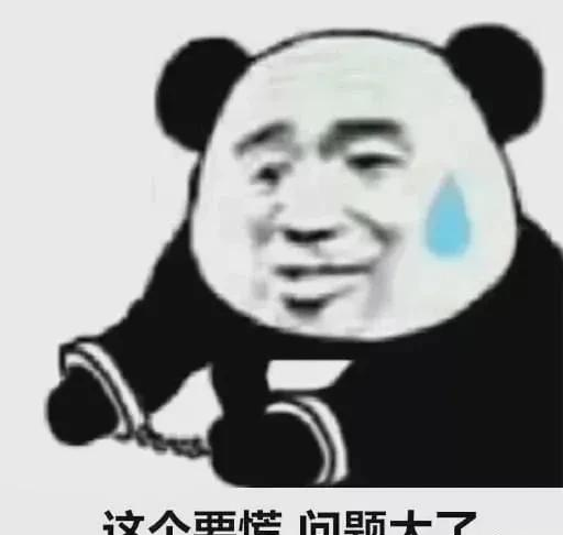 融媒看看 “共同致富”的好兄弟，却一起穿上了囚服