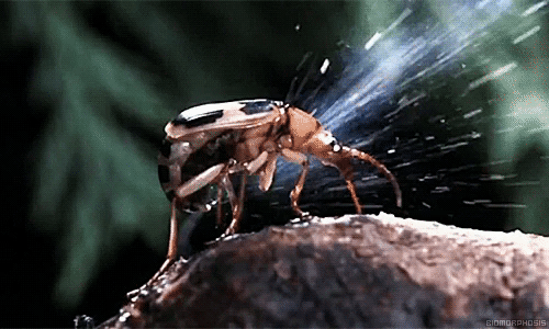 为啥地球上没进化出会喷火的生物?是技能太高端?答案很颠覆