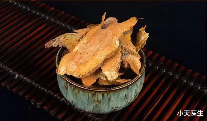 中药虎杖,通利下焦湿热,缓解黄疸,小便涩痛!